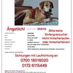 Suchmeldung-Maya-Bild