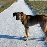 Suchmeldung-Eddy-Bild