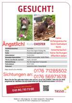 Suchmeldung-Chester-Bild