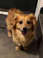 Suchmeldung-Matteo-Bild