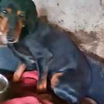 Suchmeldung-Neria-Bild