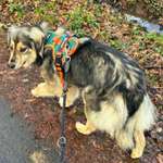 Suchmeldung-Nord-Bild