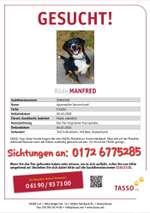 Suchmeldung-Manfred-Bild