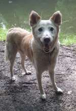 Suchmeldung-Nemo-Bild