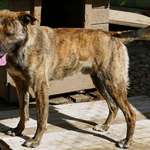 Suchmeldung-Filou-Bild