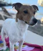 Suchmeldung-Pablo-Bild