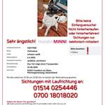 Suchmeldung-Minni-Bild
