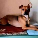 Suchmeldung-Ivan-Bild