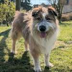 Suchmeldung-Hanuta-Bild