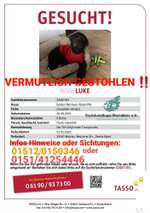 Suchmeldung-Luke-Bild