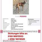 Suchmeldung-Podero-Bild