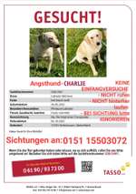 Suchmeldung-Charlie-Bild