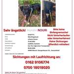 Suchmeldung-Nouri-Bild