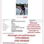 Suchmeldung-Lucy-Bild