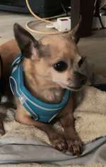 Suchmeldung-Aika-Bild