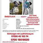 Suchmeldung-Happy-Bild