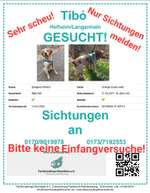 Suchmeldung-Tibó-Bild