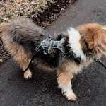 Suchmeldung-Jussi-Bild