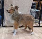 Suchmeldung-Irina-Bild