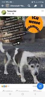 Suchmeldung-Bobby-Bild