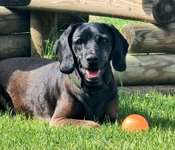 Suchmeldung-Maja-Bild