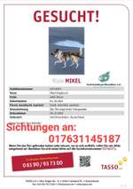 Suchmeldung-Mikel-Bild