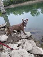 Suchmeldung-Sheela-Bild