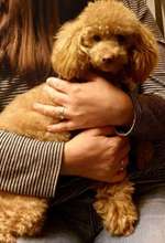 Suchmeldung-Fine-Bild