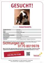 Suchmeldung-Maggy-Bild