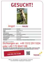 Suchmeldung-Malou-Bild