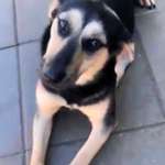 Suchmeldung-Kiva-Bild