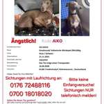 Suchmeldung-Aiko-Bild