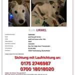 Suchmeldung-Urmel-Bild