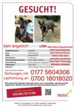 Suchmeldung-Loba-Bild