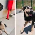 Suchmeldung-Kiva-Bild