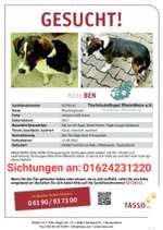 Suchmeldung-Ben-Bild