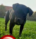 Suchmeldung-Baby-Bild