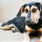 Suchmeldung-Kiva-Bild