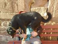 Suchmeldung-Manfred-Bild