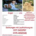 Suchmeldung-Liya-Bild
