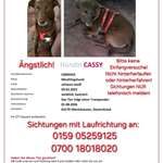 Suchmeldung-Cessy-Bild