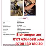 Suchmeldung-Max-Bild
