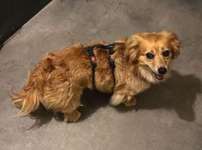 Suchmeldung-Matteo-Bild