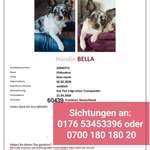 Suchmeldung-Bella-Bild