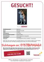 Suchmeldung-Bonny-Bild
