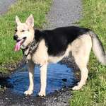 Suchmeldung-Prutik-Bild