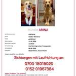 Suchmeldung-Arina-Bild