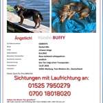 Suchmeldung-Buffy-Bild