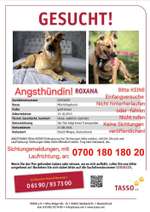 Suchmeldung-Roxana-Bild