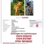 Suchmeldung-Eleven-Bild
